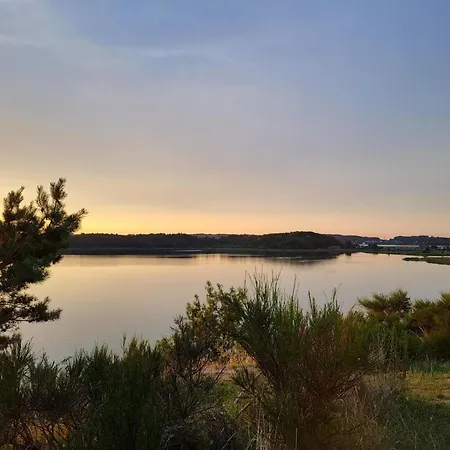 別荘 Steps From The Sea