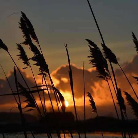 Steps From The Sea 別荘 ミデルハーゲン