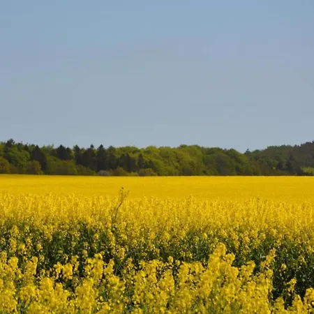Steps From The Sea * ミデルハーゲン