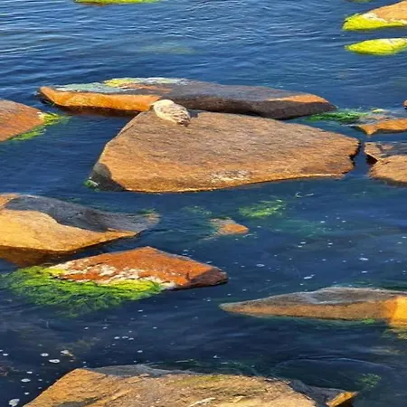 Steps From The Sea 別荘 ミデルハーゲン
